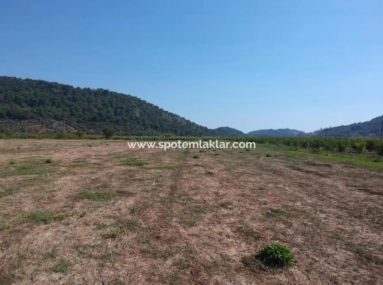 Für Verkauf Land Guzelyurt Ta Oriya, Schnäppchen 9726 M2