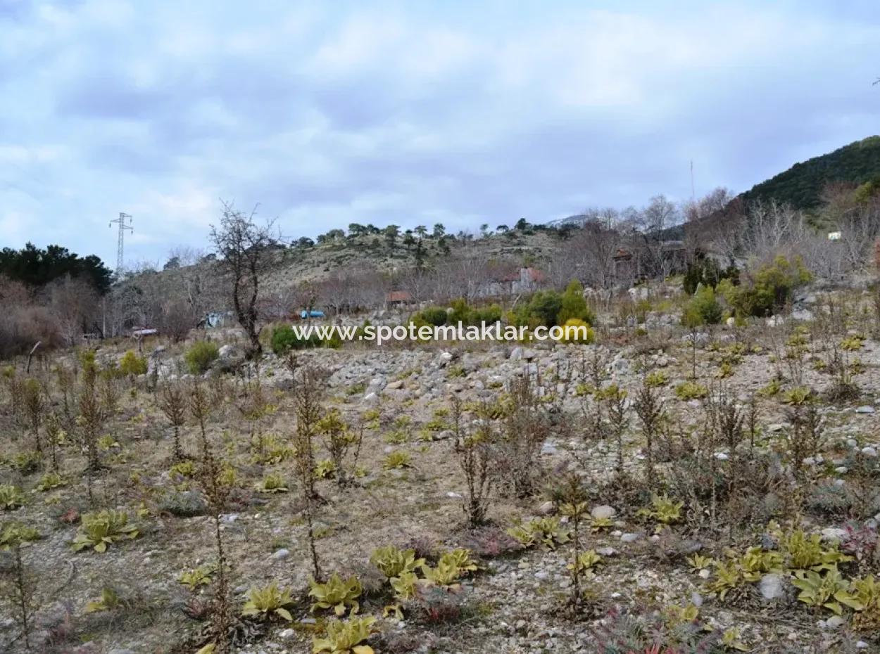 Fethiye, Nifte, 2 000 M2, Freistehend Zu Verkaufen, Schnäppchengrundstück