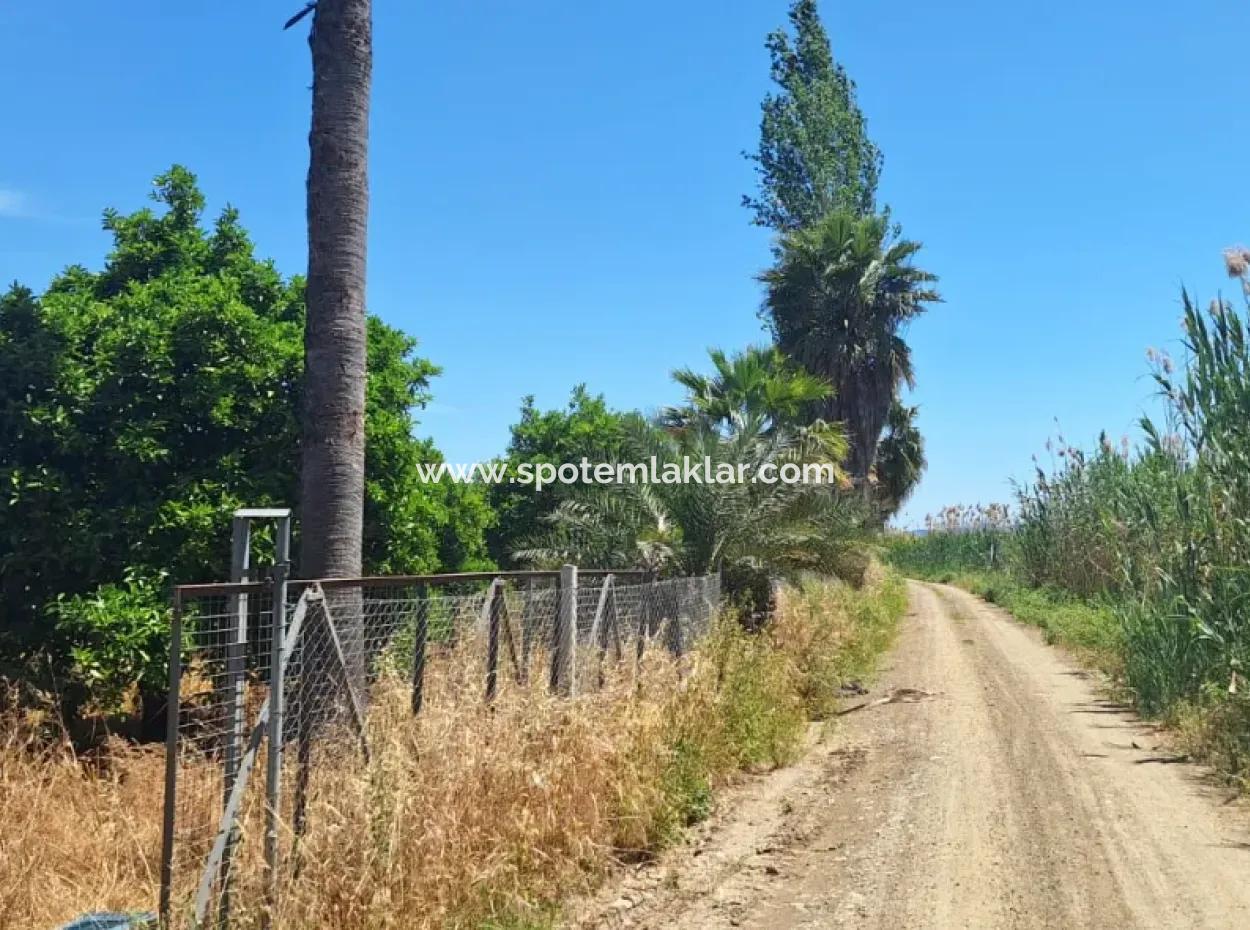 3 1 Dorfhaus Zum Verkauf In 17.000 M2 Orange Garden In Köyceğiz Toparlar