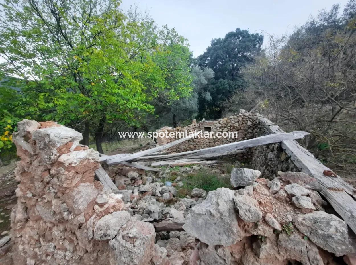 24.000 M2 Freistehendes Grundstück Zum Verkauf In Muğla Dalyan Gökbelde Natur