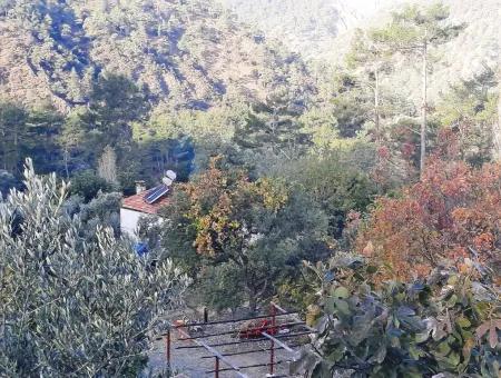 Mugla Dalaman Narli 1800 M2 Schnäppchen Land Zu Verkaufen