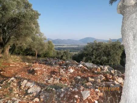 Fevziye Grundstücke Zum Verkauf Mit Meerblick