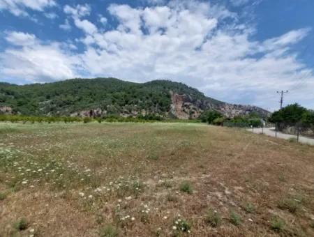 Köyceğiz Çandırda Freistehende Eigentumsurkunde 33.800 M2 Feld Zum Verkauf