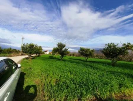 1500 M2 Freistehendes Grundstück In Der Natur Zum Verkauf In Ortaca Okçular