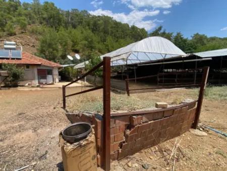 Ortaca Gölbaşı Bauernhof Und Einfamilienhaus Zu Vermieten.