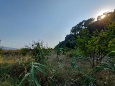 Einstöckiges Haus Zum Verkauf Auf 15 000 M2 Freistehendem Grundstück In Der Nähe Des Dalyan-Kanals In Köyceğiz Çandırda