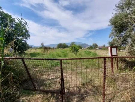 Fruchtbares 1.680 M2 Land Am Berghang Zum Verkauf In Dalyan, Muğla