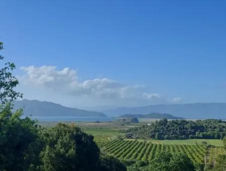 1.000M2 Freistehendes Grundstück Mit Blick Auf Den Köyceğiz-See Zum Verkauf In Dalyan