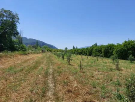 550M2 Geteiltes Grundstück Zum Verkauf Im Bebauten Gebiet Des Dorfes In Ortaca Kemaliye