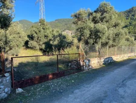 Zu Verkaufen 3.300 M2 Land Zur Deponierung In Muğla, Köyceğiz, Ekincik