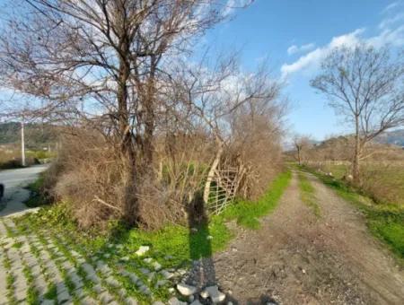 2585 M2 Freistehendes Grundstück In Der Nähe Des Sees In Köyceğiz Çandırda Zu Verkaufen