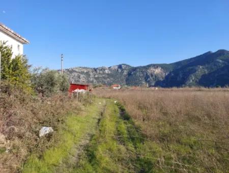 4.800 M2 Grundstück Zum Verkauf In Muğla Ortaca Dalyan