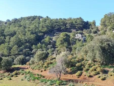 28.350 M2 Grundstück Zum Verkauf In Ortaca Gökbelde Mit Freistehender Eigentumsurkunde Mit Meerblick