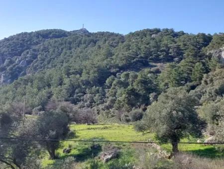 28.350 M2 Grundstück Zum Verkauf In Ortaca Gökbelde Mit Freistehender Eigentumsurkunde Mit Meerblick