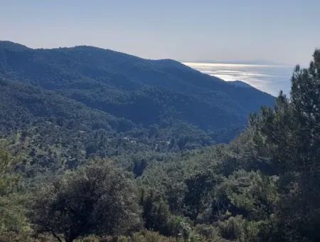 28.350 M2 Grundstück Zum Verkauf In Ortaca Gökbelde Mit Freistehender Eigentumsurkunde Mit Meerblick