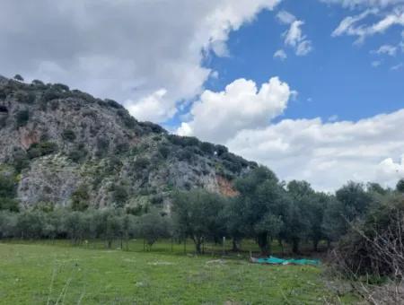 Muğla Köyceğiz Çandırda 3.750 M2 Grundstück Zum Verkauf In Der Nähe Des Dalyan-Kanals