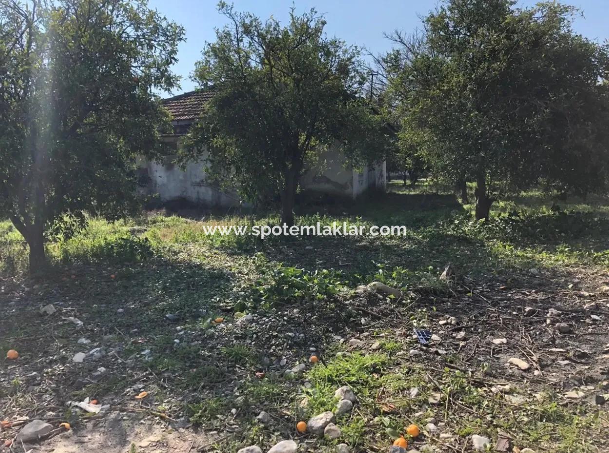 Land And Old Village House For Sale In Köyceeğiz Fire