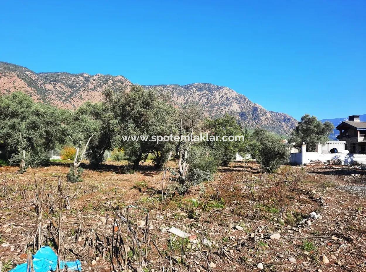 2,000 M2 Kelepir Detached Zoning Land For Sale In Köyceğinz Topars