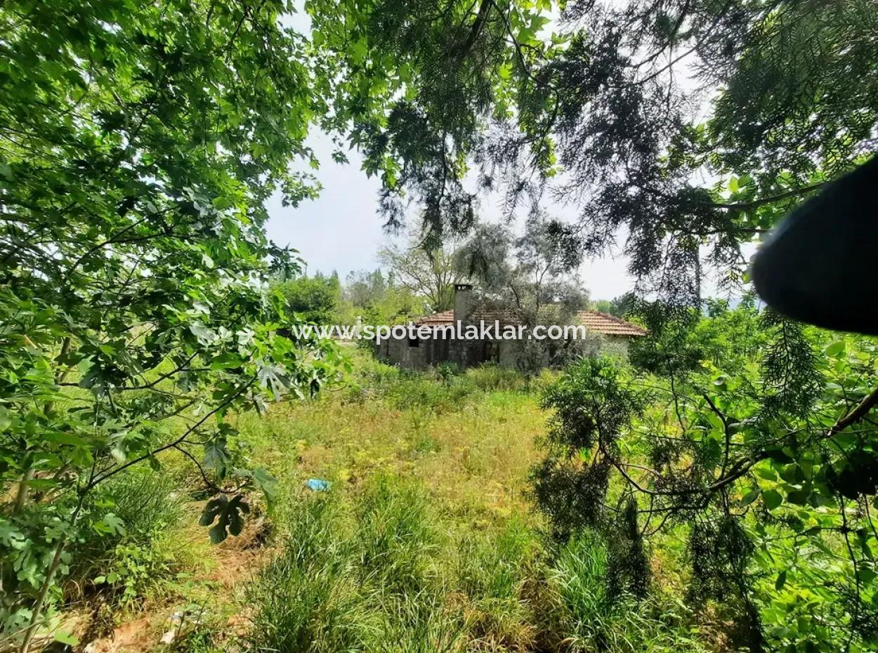 5 300 M2 Land For Sale In Ortaca Okçular Main Road Zero Zoning Plan