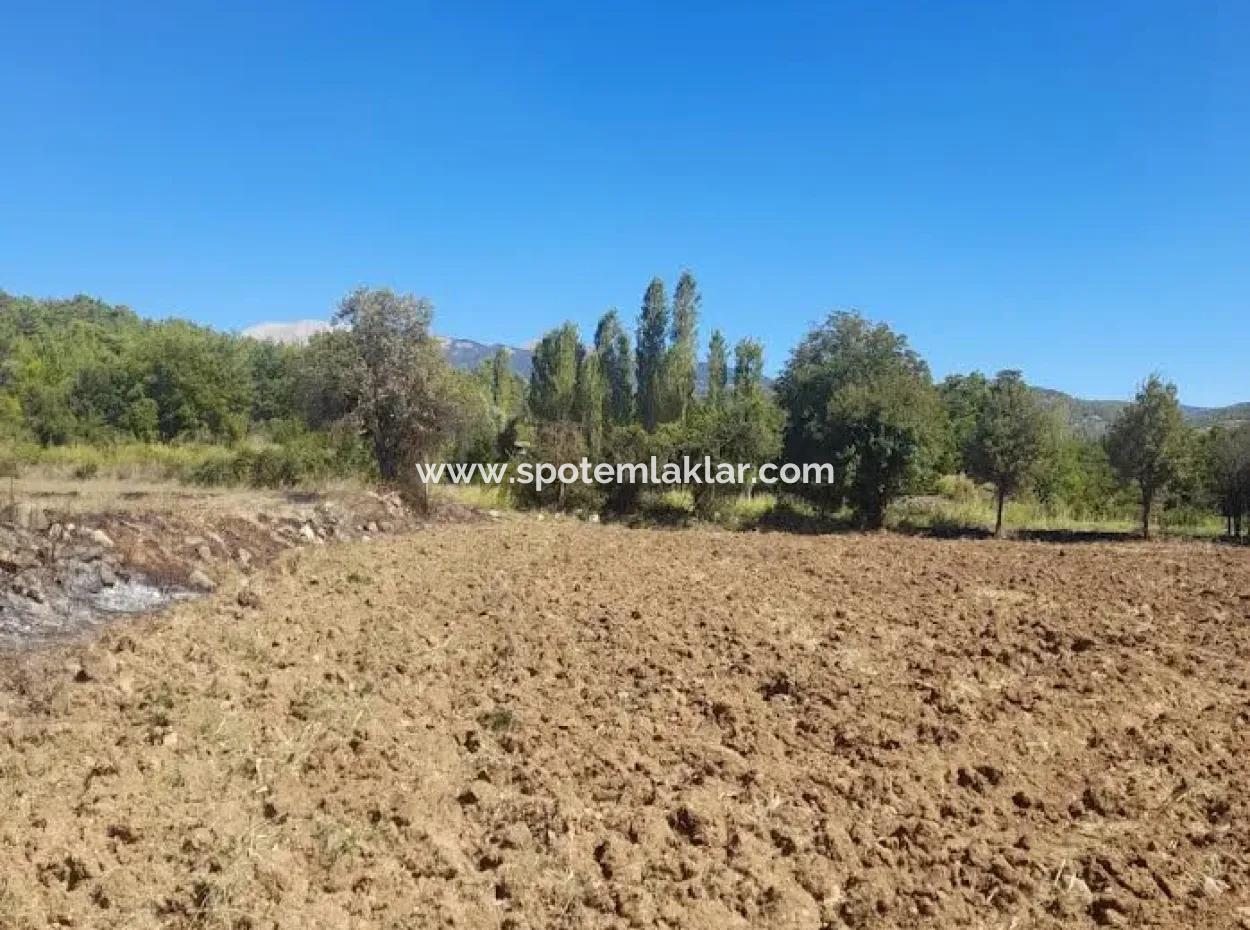 Denizli Beyağaç Sazak 317 M2 Detached Land With Title Deed Zoning For Sale