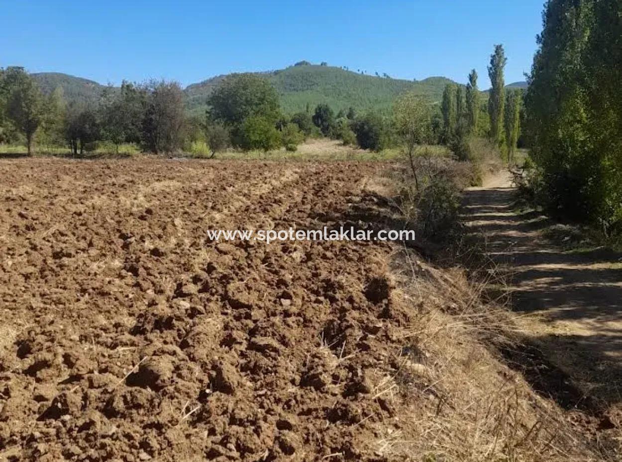 Denizli Beyağaç Sazak 317 M2 Detached Land With Title Deed Zoning For Sale