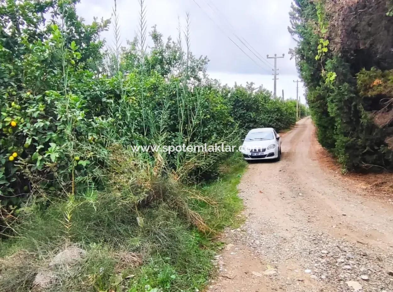 Muğla Ortaca Fevziye 3 Km From The Sea 6 200M2 Field For Sale