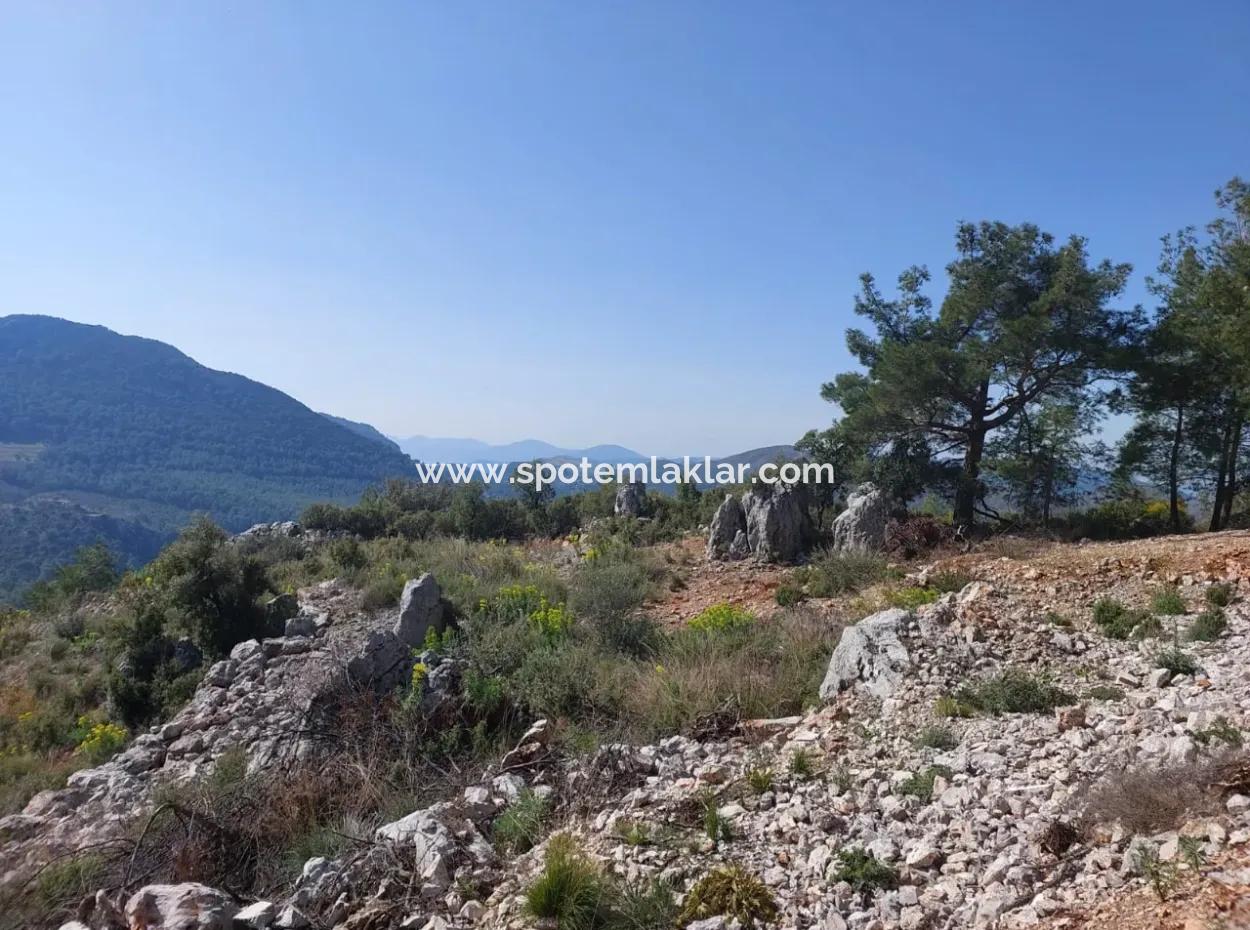 1 300 M2 63 M2 Zoned Land For Sale In Gocek Gökçeovacik