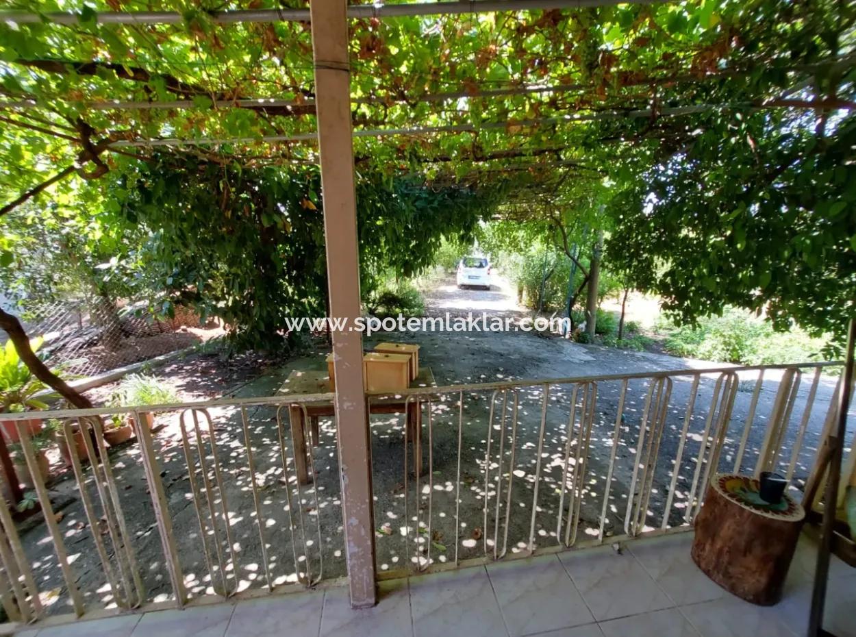 Single-Storey Detached 2 1 Village House For Rent On 4 600 M2 Land In Muğla Ortaca Ekşiliyurt