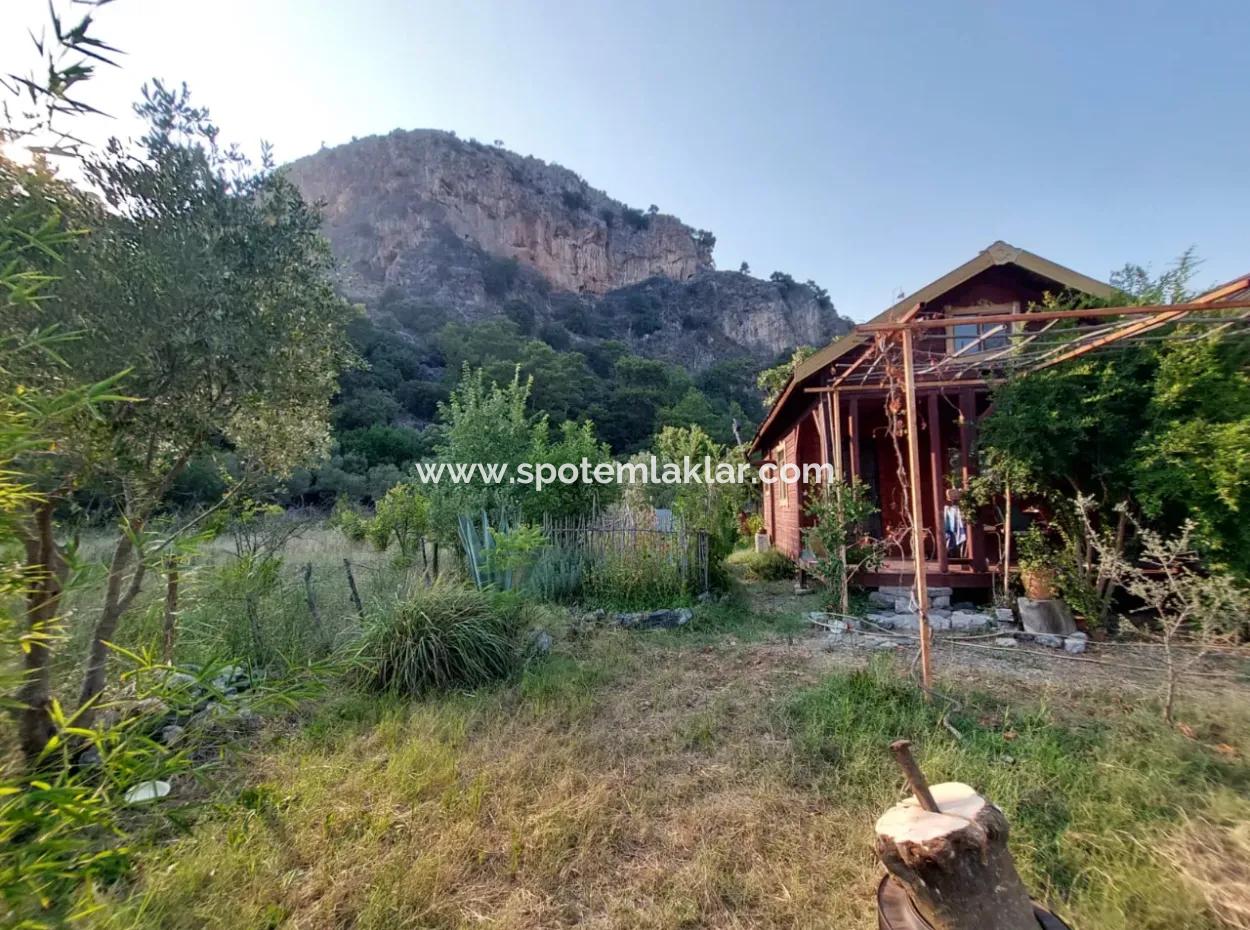 Single Storey House For Sale On 15 000 M2 Detached Land Close To Dalyan Canal In Köyceğiz Çandırda