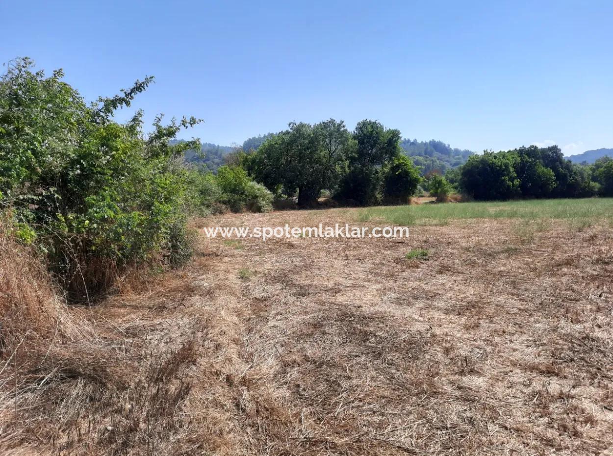 Detached 1876 M2 Bargain Land For Sale In Çameli Cumalanda