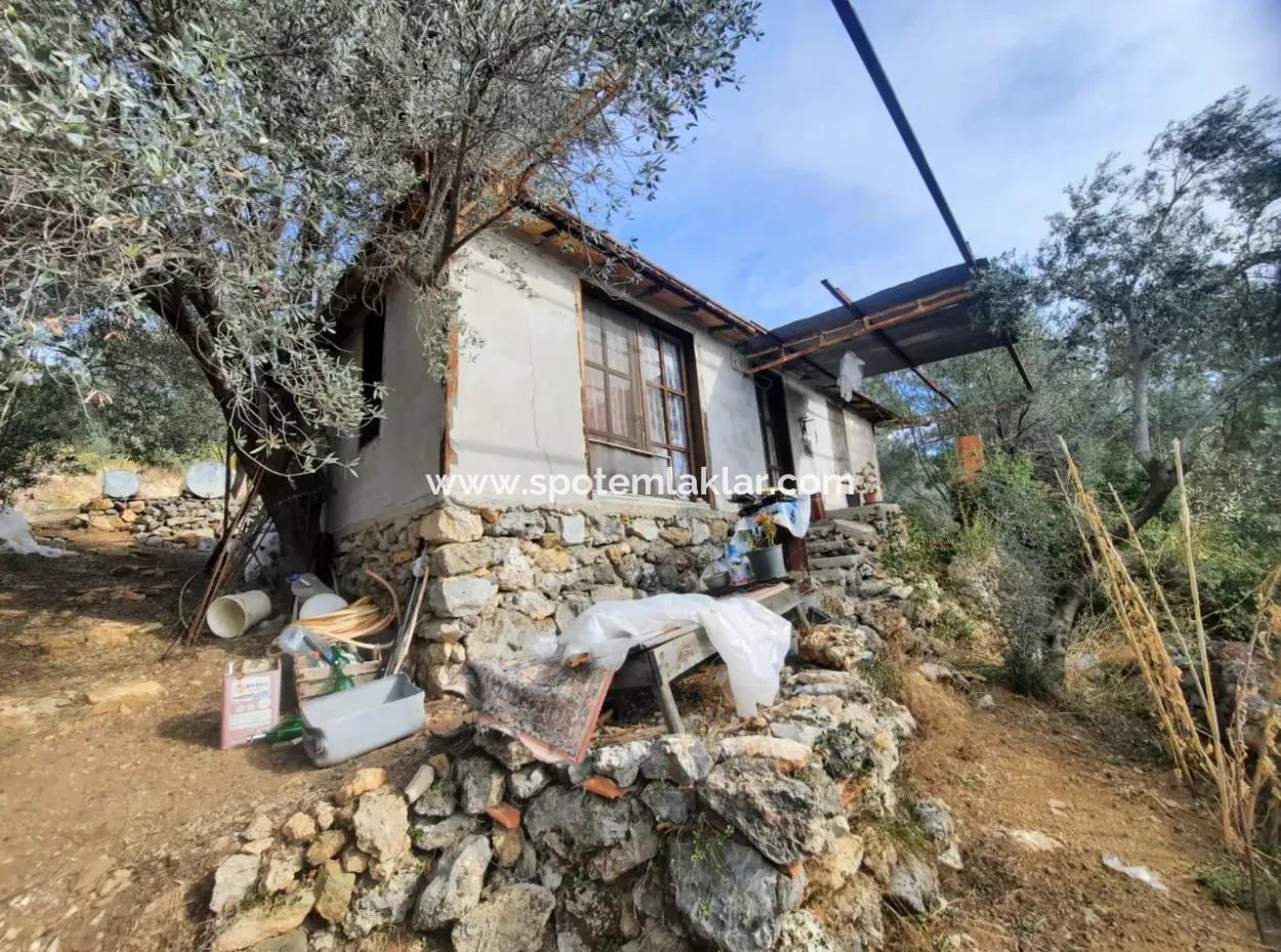 11,650M2 Detached Land With Sea View And 1 1 House For Sale In Gocek Gökçeovacik