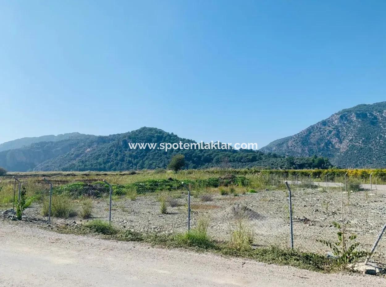 6000 M2 Corner Parcel Field For Sale In Ortaca Güzelyurt