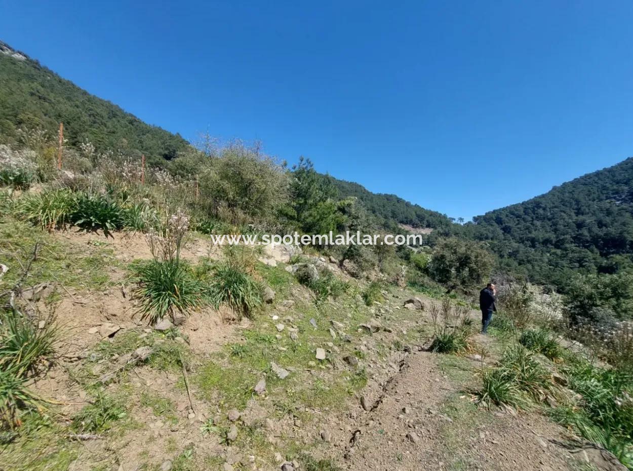 Ortaca Gökbelde 1896 M2 Land For Sale In Nature