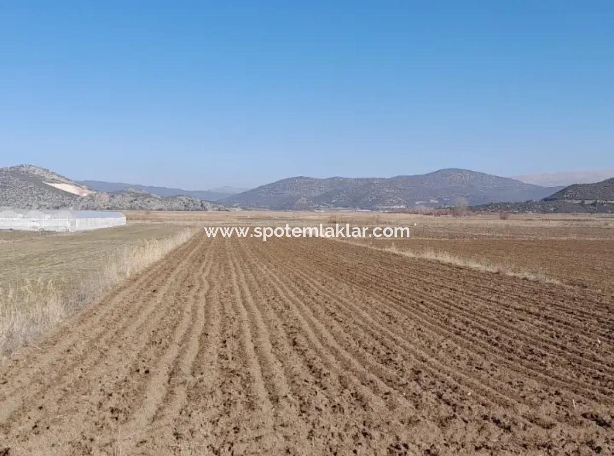 6 600 M2 Detached Land With Lake View For Sale In Burdur Gölhisar Kargalı Village