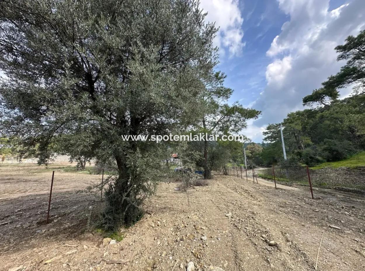 1084 M2 Corner Parcel For Sale In Dalyan Gökbelde