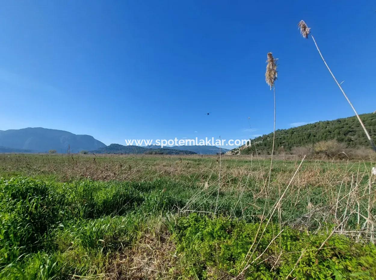 Fertile 6.350 M2 Land For Sale In Muğla Ortaca Güzelyurt