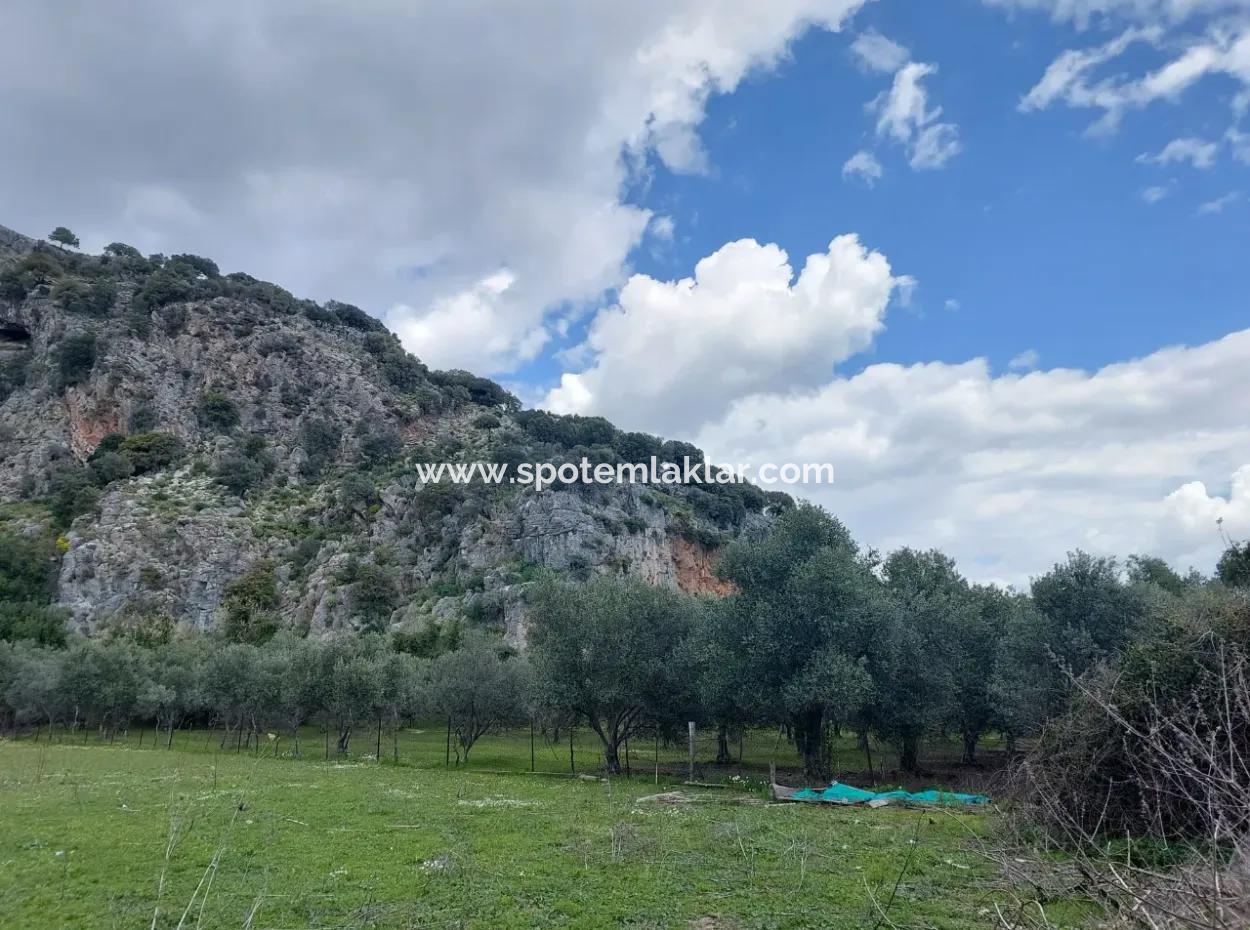 Muğla Köyceğiz Çandırda 3.750 M2 Land For Sale Close To Dalyan Canal