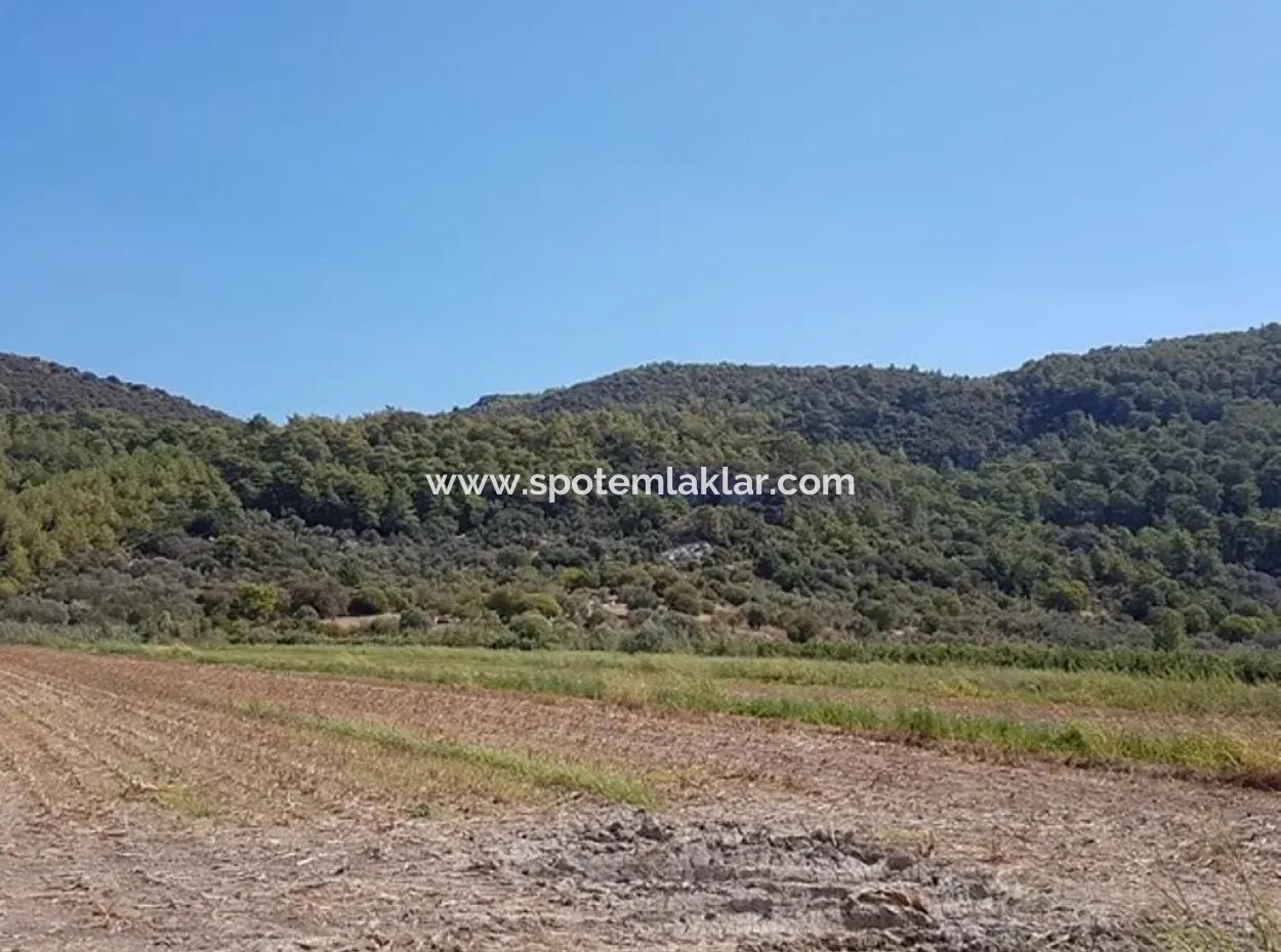 Fertile Land For Sale In Famagusta Bargain