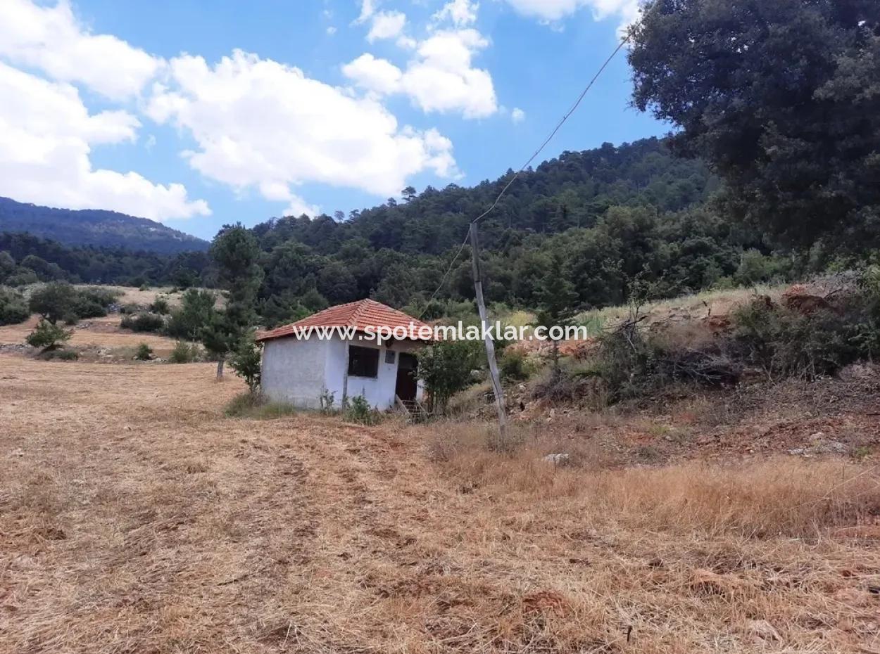 7 350 M2 Detached Land And House For Sale Or In Exchange With Apartment In Çameli Cevizli