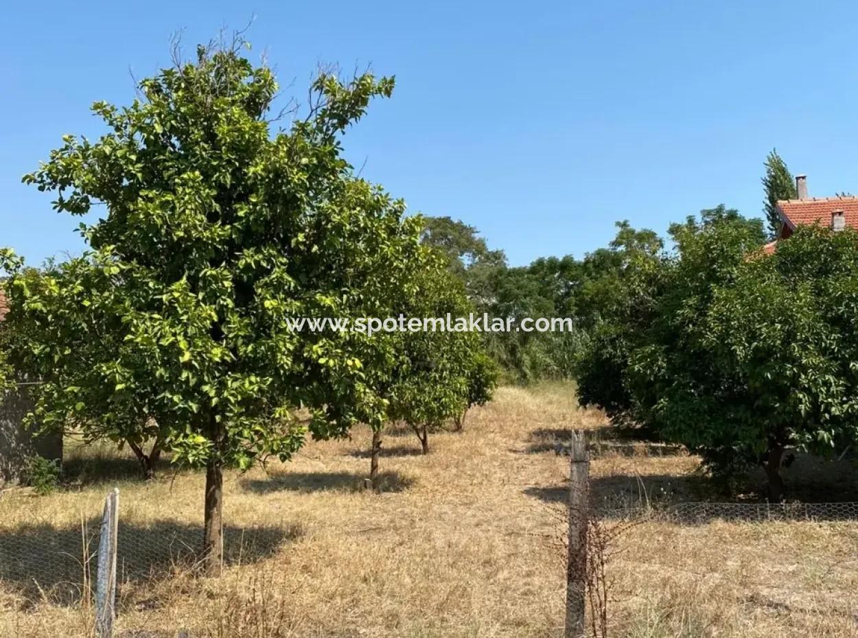 Zoned Land For Sale In Ortaca Yatirimlik