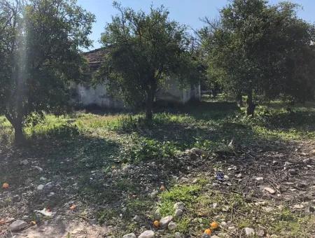 Land And Old Village House For Sale In Köyceeğiz Fire