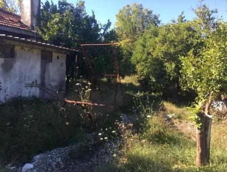 Land And Old Village House For Sale In Köyceeğiz Fire