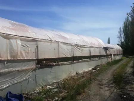 4,000 M2 Tunnel Greenhouse For Sale In Ortaca Dalaklı  