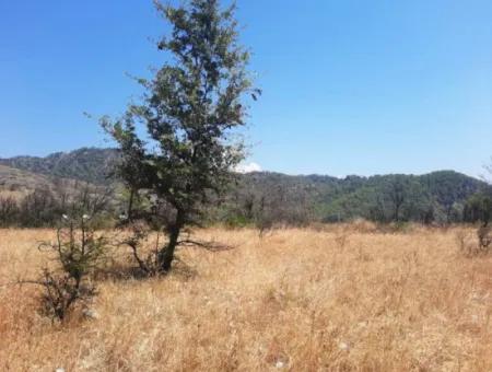 Muğla Dalaman 42.432M2 Detached Land With Title Deed For Sale