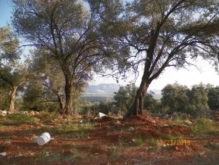 Fevziye Land For Sale With Sea View