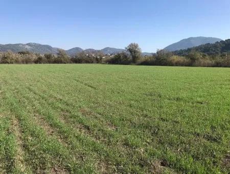 Land For Sale In Dalaman Also Public Works And Water Zero