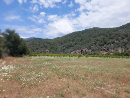 Köyceğiz Çandırda Detached Title Deed 33.800 M2 Field For Sale