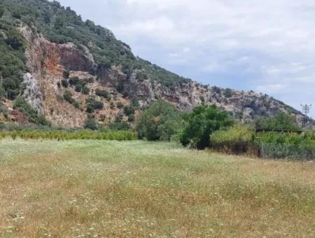 Köyceğiz Çandırda Detached Title Deed 33.800 M2 Field For Sale