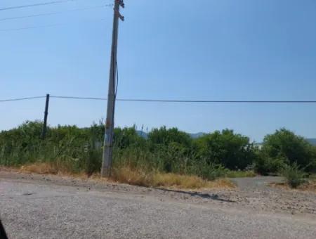 Muğla Ortaca Ekşiliyurtta Roadfront 7.000 M2 Lemon Garden For Sale