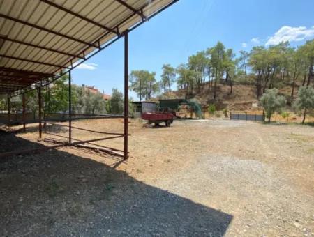 Ortaca Gölbaşı Farm And Detached House For Rent.